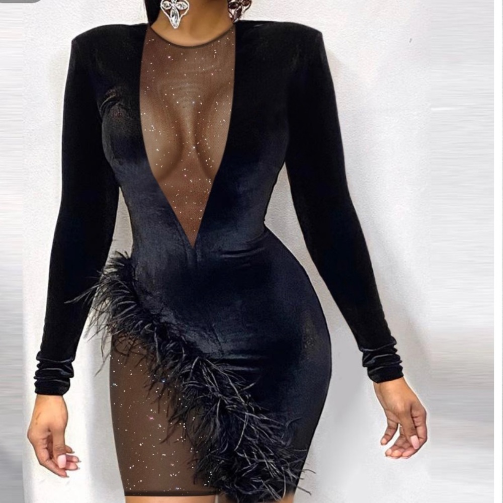 Feather detail Glitter Mesh Bodycon dress